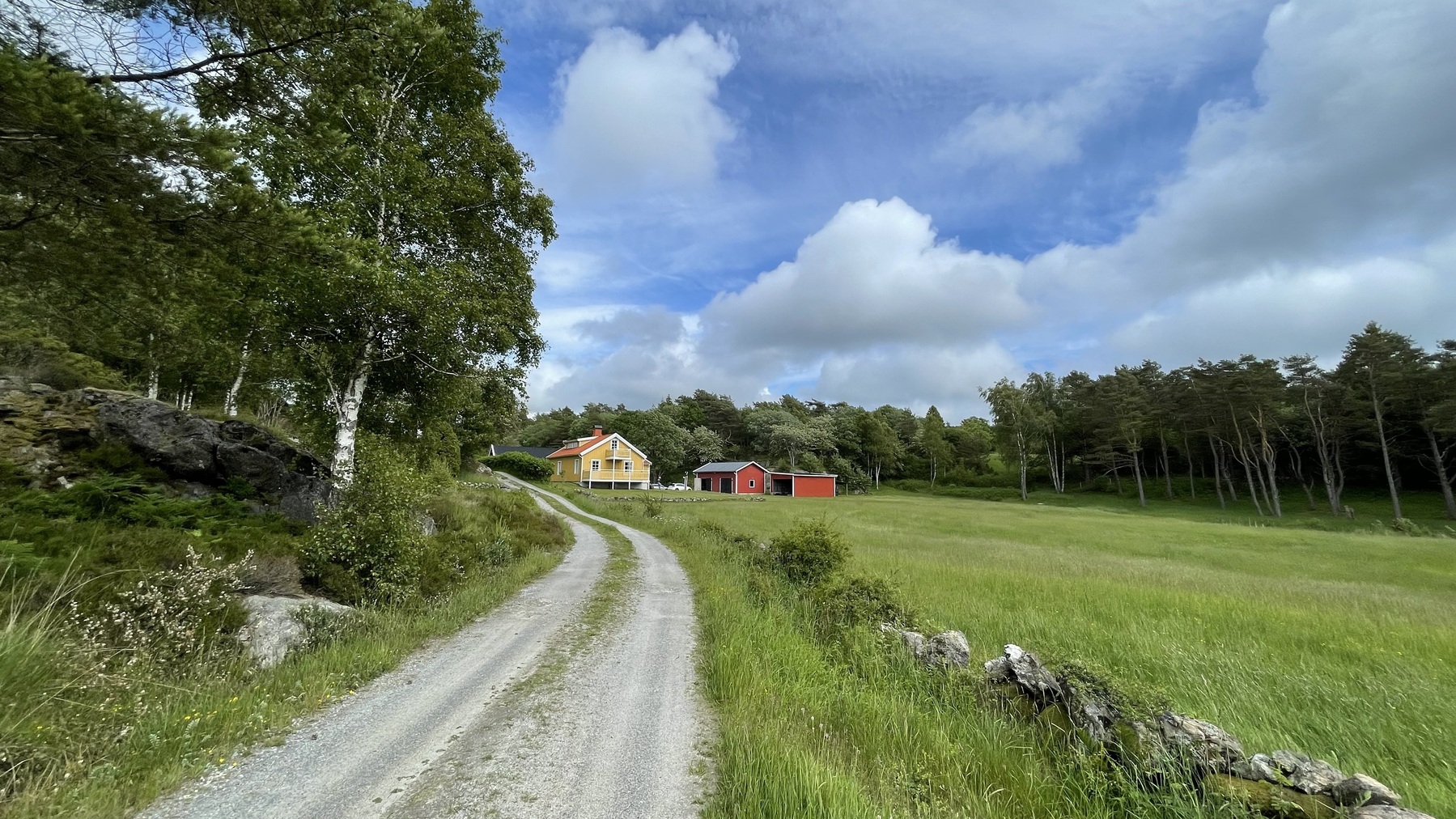 Hitta rätt gård – tips för en lyckad sökprocess